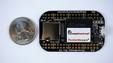 Beagleboard PocketBeagle BeagleBone